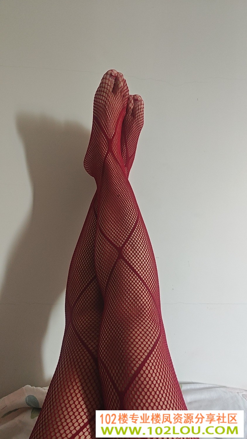 1000026276.jpg